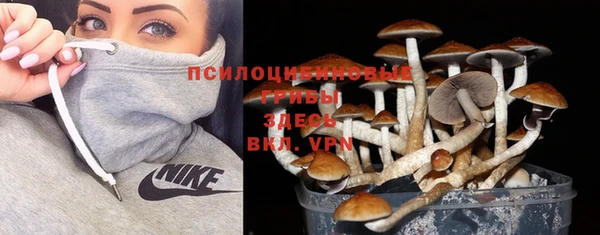 соль курить ск Горняк